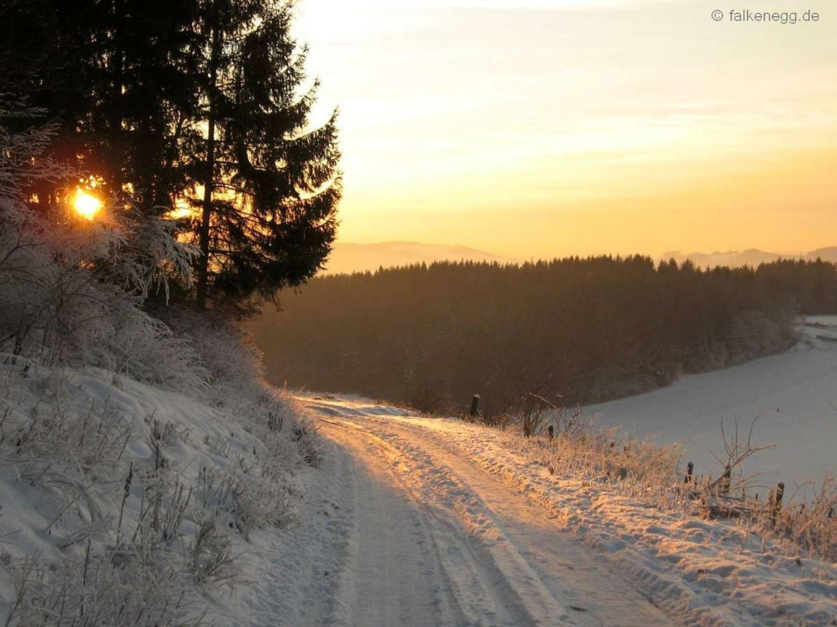 Feriendorf Falkenegg เลนเนชตัดท์ ภายนอก รูปภาพ